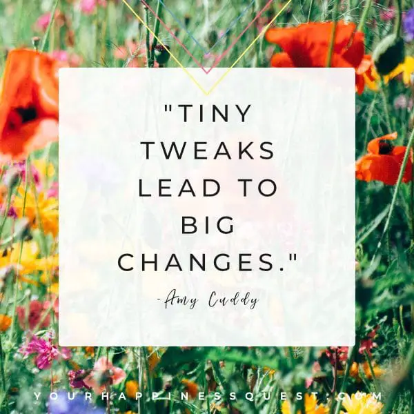 Inspirational quote about self-improvement by Amy Cuddy. "Tiny tweaks lead to big changes". Just work on one little thing at a time. #inspirational #postive #LifeQuote #quotes #motivational #wellness #affirmation #happiness #women #selflove #dontdelayhappiness #quotestoliveby #quoteoftheday #motivation #inspiration #inspire #quote #sayings #positivevibes #happinessquest #yourbestself #growthmindset #life #selfcare #happiness #intentionalliving #mindfulliving Photo By Eva Waardenburg 