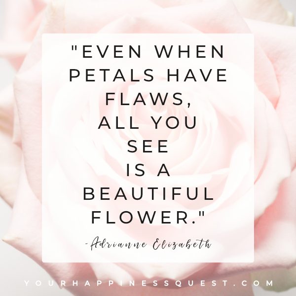 "Even when petals have flaws, all you see is a beautiful flower" quote about body positivity by Adrianne Elizabeth. #loveyourself #youdoyou #beauty #wellness #selflove #youdoyou #personalgrowth #life #joy #mindset #mind #bodypositivity #bodyimage #bodypositive #positivebodyimage #mindset #positivemindset #positivity #selfhelp #selfcare #selfdevelopment #selfimprovement #love #life #happinessquest #selflove #health #positivemindset #positivity #quotes #sayings #quoteoftheday Photo by Jess Watters